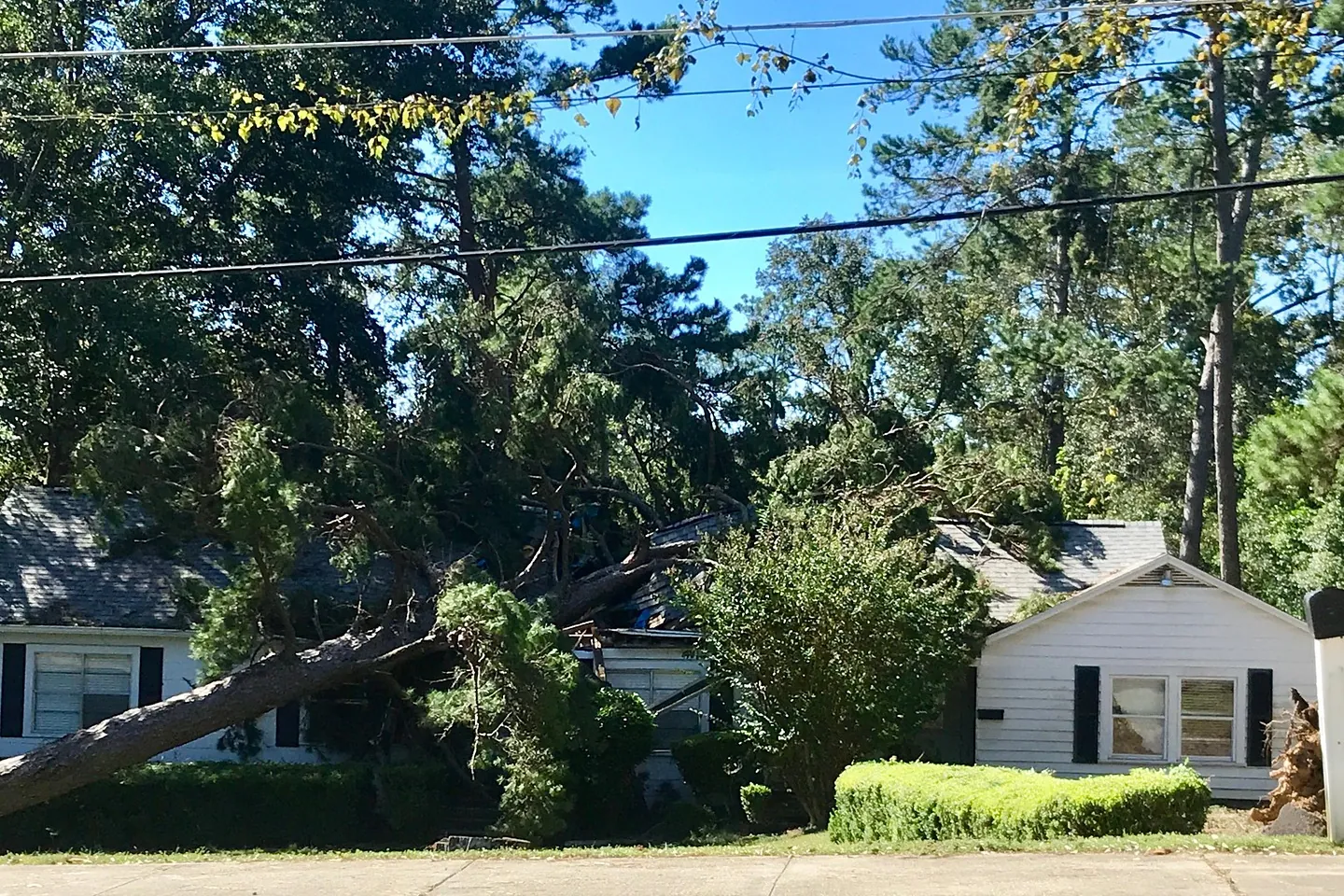 A large pine tree fallen across the roof of a white house after a hurricane