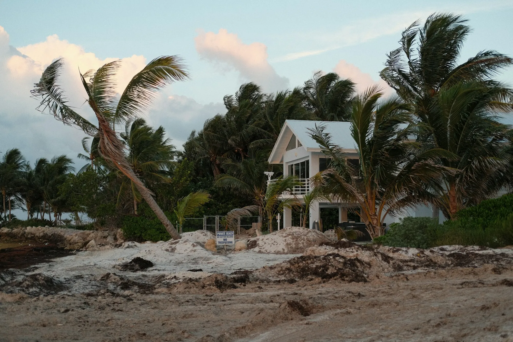 Palm trees bending in strong wind beside a white two-story house near the beach